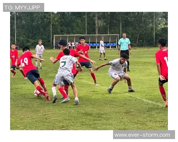 成都足球队的节奏与魅力探索：从历史到未来的全面分析